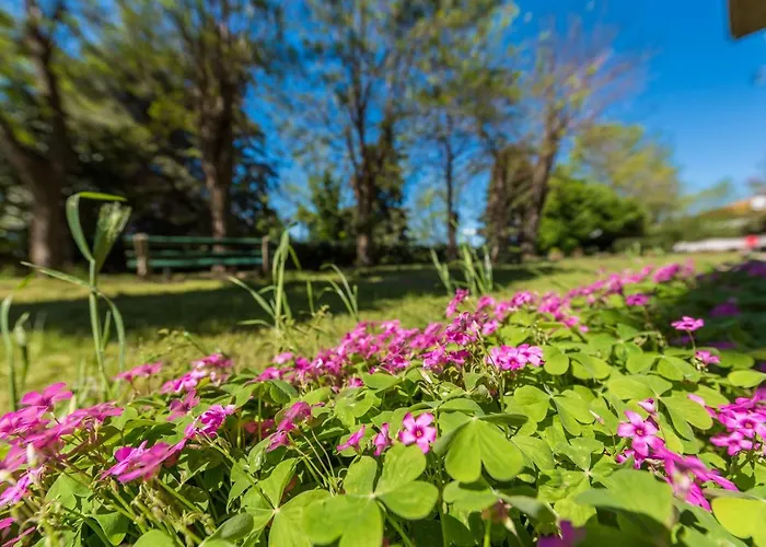 Apartment Tina - Kolovare Beach Ζαντάρ